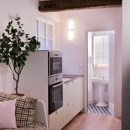 Tiny Au Coeur De Apartment *