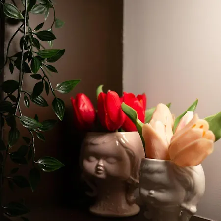 Tiny Au Coeur De Apartment *